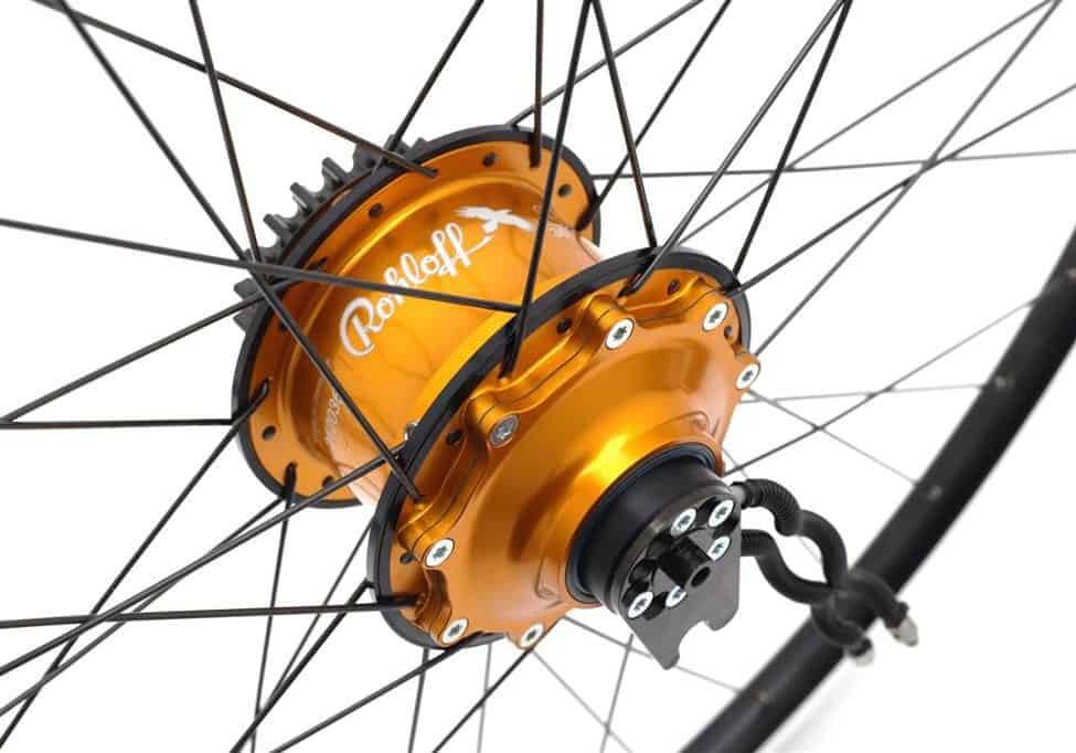 IMG_6653_bewerkt (Custom)